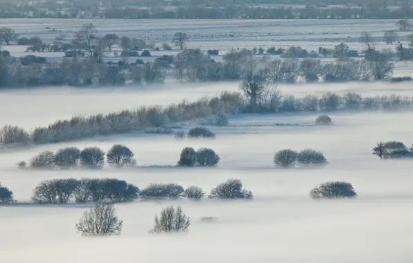 Картинка зима, снег, поля, Англия, Сомерсет
