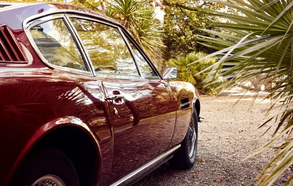 Картинка пальма, колесо, зеркало, автомобиль, Christoffer Rudquist, Aston Martin DB