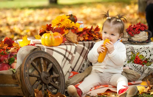 Картинка осень, парк, ребенок, кукуруза, девочка, тыква