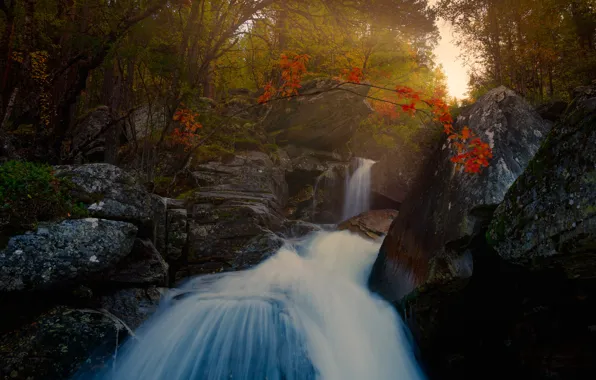 Картинка осень, лес, свет, деревья, ветки, камни, скалы, листва, водопад, поток