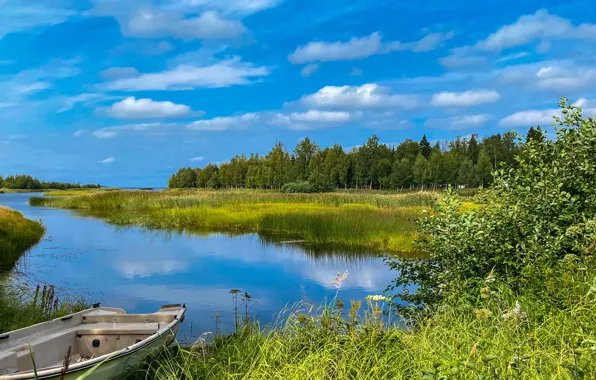 Картинка лето, небо, деревья, река, лодка, камыш, Финляндия, Finland, Iijoki River, Река Иййоки