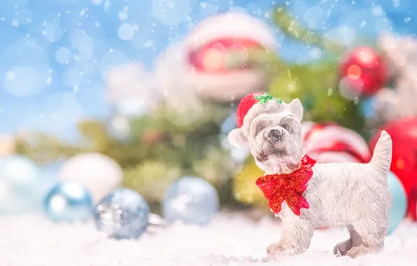 Картинка шарики, снег, праздник, игрушка, собака, Рождество, Новый год, собачка, колпак, голубой фон, фигурка, боке, ёлочные …