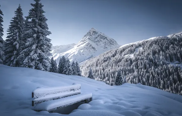 Картинка зима, лес, снег, деревья, горы, скамейка, Австрия, ели, Альпы, вершина, сугробы