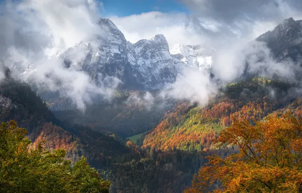 Картинка осень, лес, солнце, облака, деревья, горы, Швейцария, Альпы, Glarus