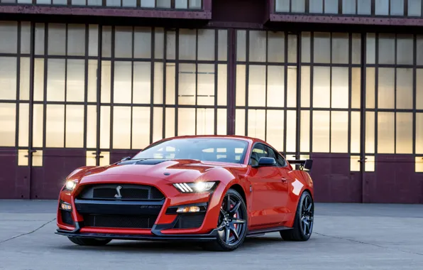 Картинка Mustang, Ford, Shelby, GT500, красота, мощь, экстерьер, 2022
