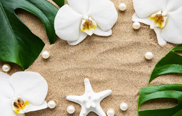 Картинка песок, листья, цветы, white, орхидея, flowers, sand, orchid, жемчужины, spa, starfish, zen, perls
