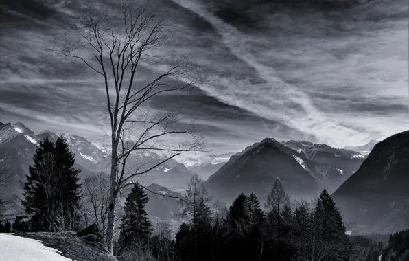 Картинка зима, небо, облака, снег, деревья, горы, природа, скалы, black & white, черно-белое, монохром