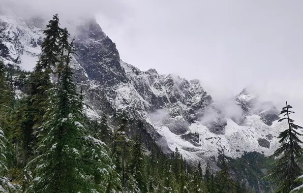 Картинка зима, небо, снег, деревья, горы, природа, скалы, Канада, Британская Колумбия