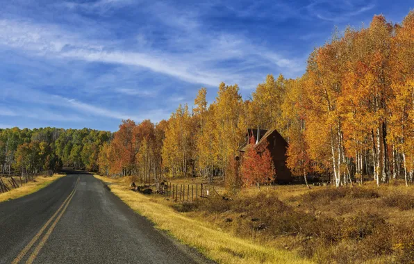 Картинка дорога, осень, лес, небо, трава, облака, деревья, дом, путь, синева, желтые, шоссе, домик, особняк, обочина, …