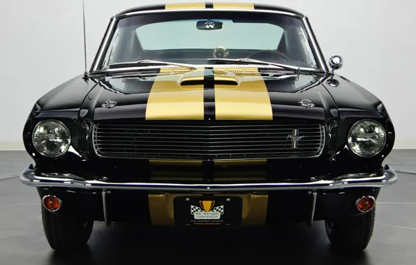 Картинка Ford Mustang, Muscle car, Vehicle, Shelby GT 350 H