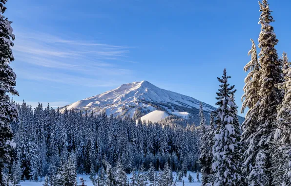 Картинка зима, лес, снег, горы, ели, Канада, голубое небо