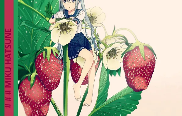 Картинка листья, клубника, vocaloid, Hatsune Miku, вокалоид, голубые волосы, цветки, Хатсуне Мику, капли дождя, чёлка, босая, …