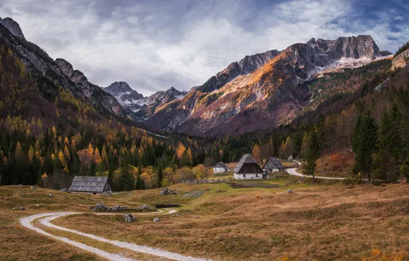 Картинка осень, лес, горы, домики, autumn, mountains, forests, Словения