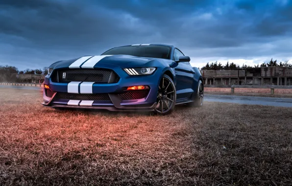 Картинка Mustang, Ford, Shelby, GT500