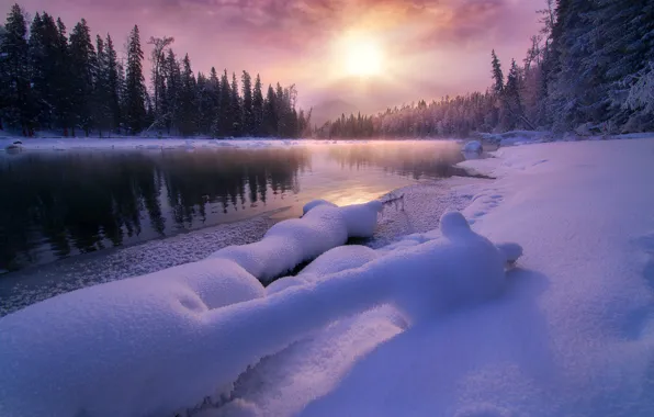 Картинка зима, лес, солнце, снег, туман, рассвет, берег, утро, ели, водоем