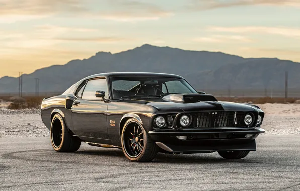 Картинка Muscle, Ford Mustang, Coupe, Vehicle, Boss 429