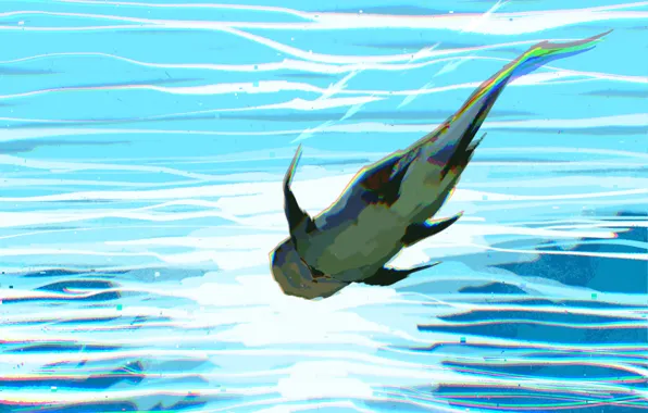 Картинка акула, под водой, Fangpeii