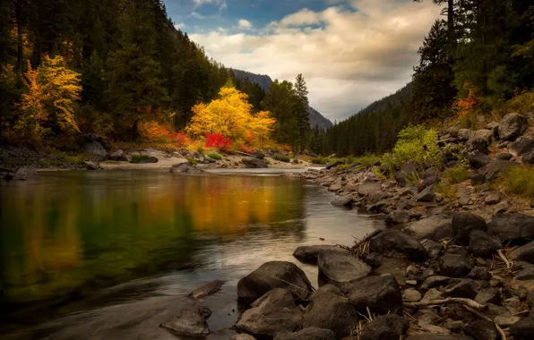 Картинка осень, лес, река, камни, холмы, Doug Shearer