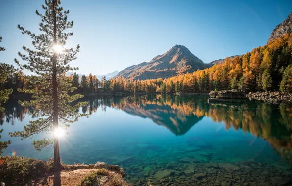 Картинка осень, лес, солнце, пейзаж, горы, природа, озеро, дерево, Швейцария, Лаго ди Саосео