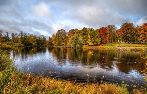 Картинка фото, Природа, Трава, Осень, Деревья, Река, Россия