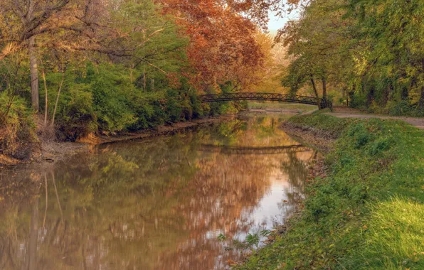 Картинка осень, пейзаж, мост, природа, река, красота