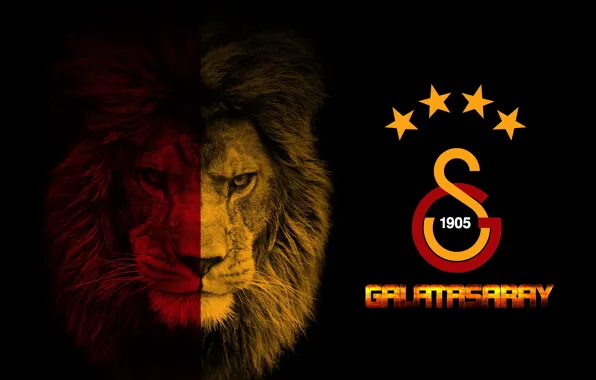 Картинка wallpaper, sport, logo, football, Galatasaray