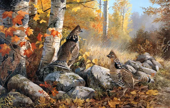 Картинка осень, лес, листья, деревья, птицы, ветки, природа, камни, листва, рисунок, графика, две, картина, арт, пара, …