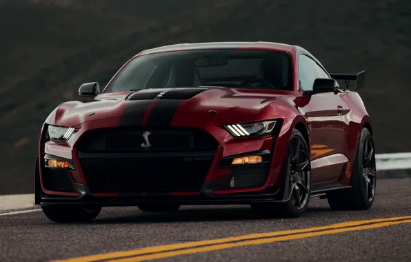 Картинка разметка, Mustang, Ford, Shelby, GT500, кровавый, 2019
