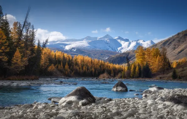 Картинка осень, лес, пейзаж, горы, природа, река, камни, берега, Алтай, Катунский хребет, Алёна Рубан