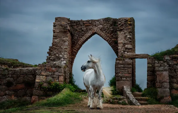 Картинка белый, небо, природа, конь, лошадь, арка, белая, руины