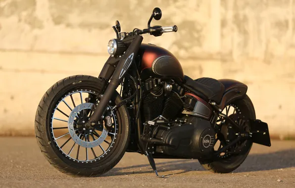 Картинка Harley-Davidson, Custom, Motorbike, Thunderbike, By Thunderbike
