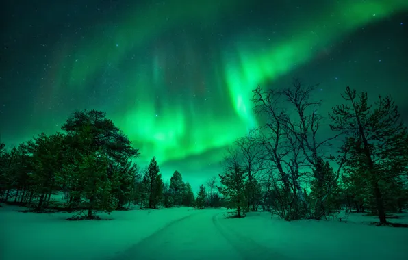 Картинка зима, дорога, небо, снег, деревья, ночь, природа, северное сияние, сугробы, колея, зимняя, полярное сияние