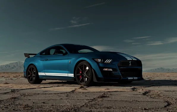 Картинка синий, Mustang, Ford, Shelby, GT500, равнина, 2019