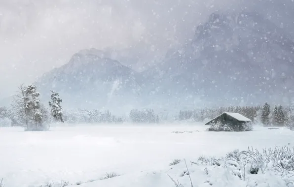 Картинка зима, поле, лес, снег, деревья, горы, природа, туман, избушка, сугробы, дымка, сосны, домик, метель, снегопад, …