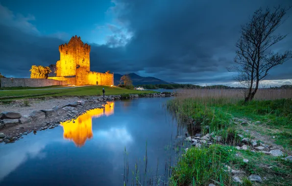 Картинка озеро, отражение, замок, дерево, Ирландия, Ireland, Kerry, Керри, Ross Castle, Lough Leane, Озеро Лох-Лин, Замок …