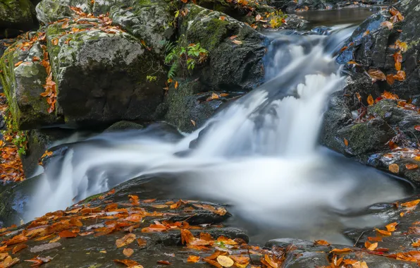 Картинка осень, листья, камни, водопад, поток, осенние