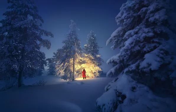 Картинка зима, свет, снег, деревья, пейзаж, природа, женщина, вечер, Кандалакша, Анна Политова