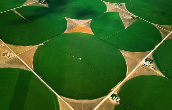 Картинка поля, Колорадо, США