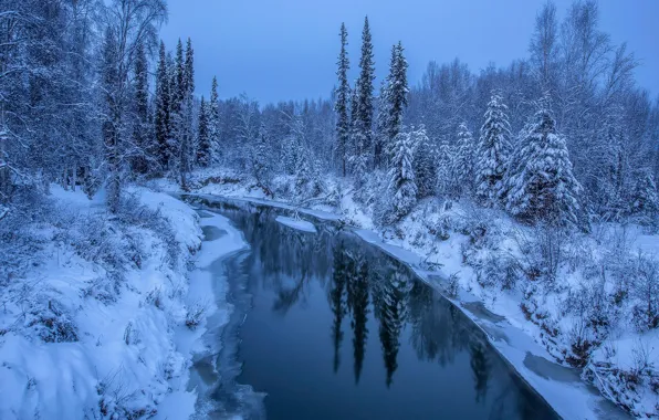 Картинка зима, лес, снег, деревья, река, Аляска