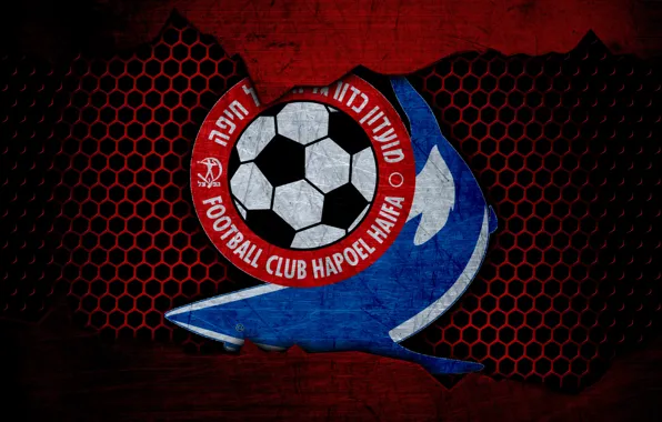 Картинка wallpaper, sport, logo, football, Hapoel Haifa