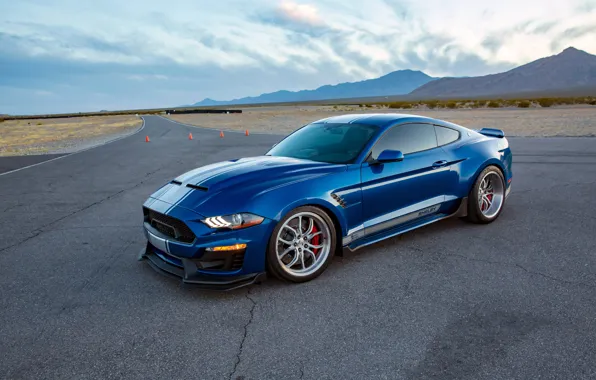 Картинка Ford, Shelby, Blue, Side, Road, Super Snake, Shelby Super Snake