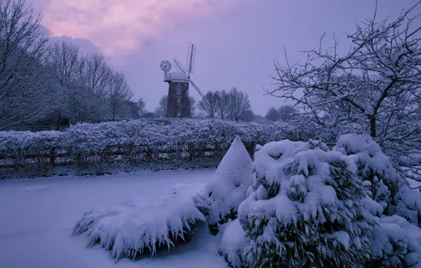 Картинка зима, снег, деревья, сумерки, ветряная мельница
