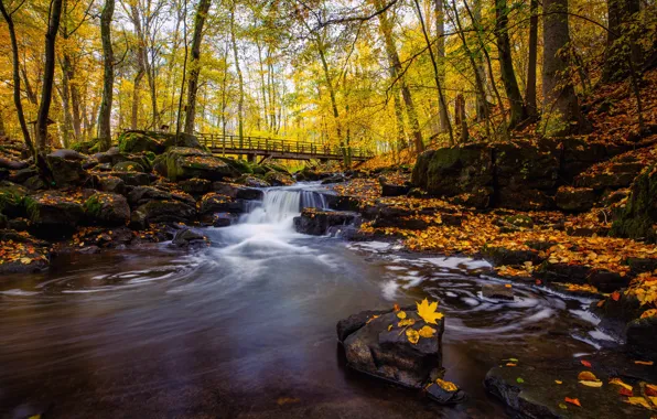 Картинка осень, лес, камни, водопад