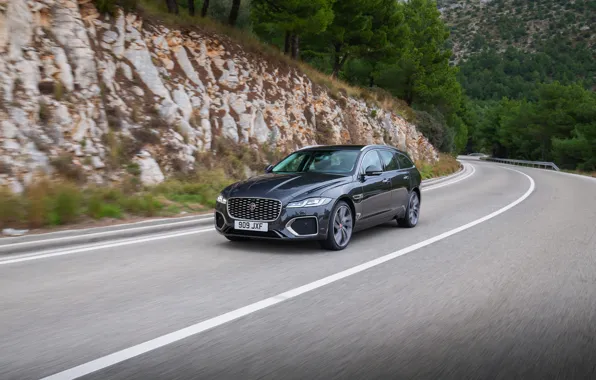 Картинка растительность, Jaguar, склон, универсал, на дороге, Jaguar XF, 2020, XF, XF Sportbrake
