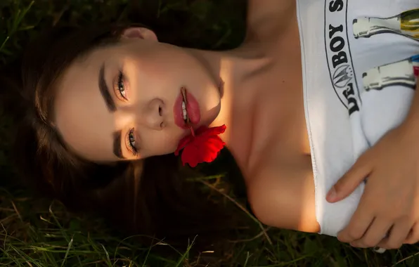 Картинка цветок, трава, взгляд, девушка, лицо, рот, Антон Печкуров