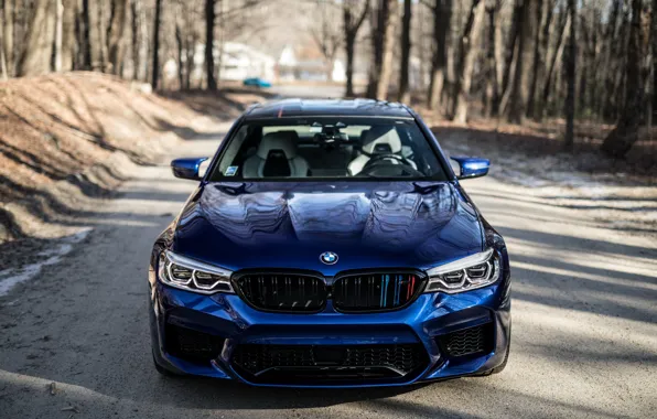 Картинка BMW, Blue, Forest, Sight, F90, Adaptive LED