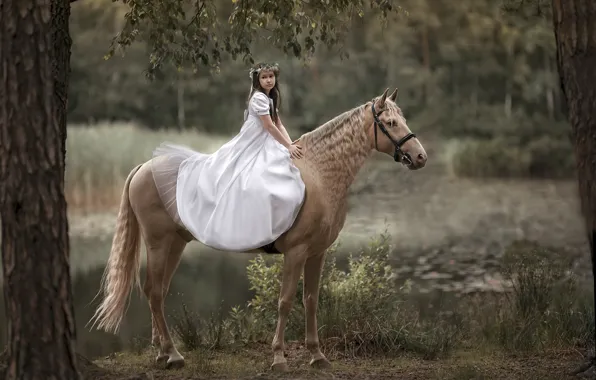 Картинка природа, конь, девочка