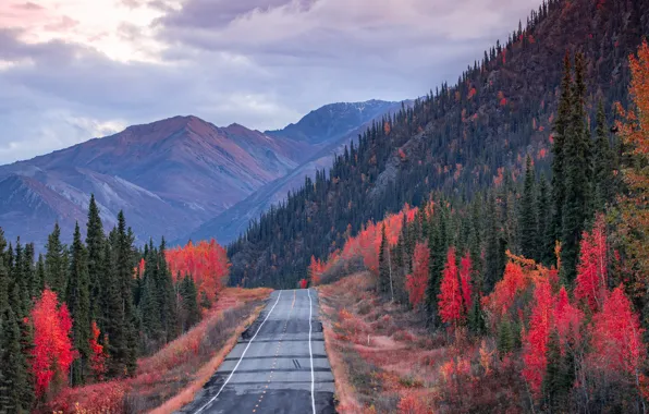 Картинка дорога, осень, лес, небо, облака, горы, склоны, вершины, вид, высота, шоссе, дымка, багрянец