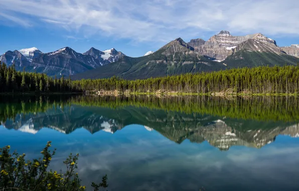 Картинка лес, горы, озеро, отражение, Канада, Альберта, Banff National Park, Alberta, Canada, Скалистые горы, Национальный парк …