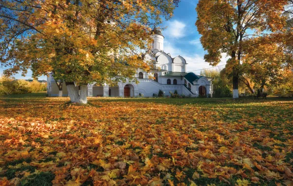 Картинка осень, деревья, пейзаж, Киржач, Благовещенский монастырь